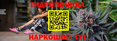 прущие грибы Ипатово