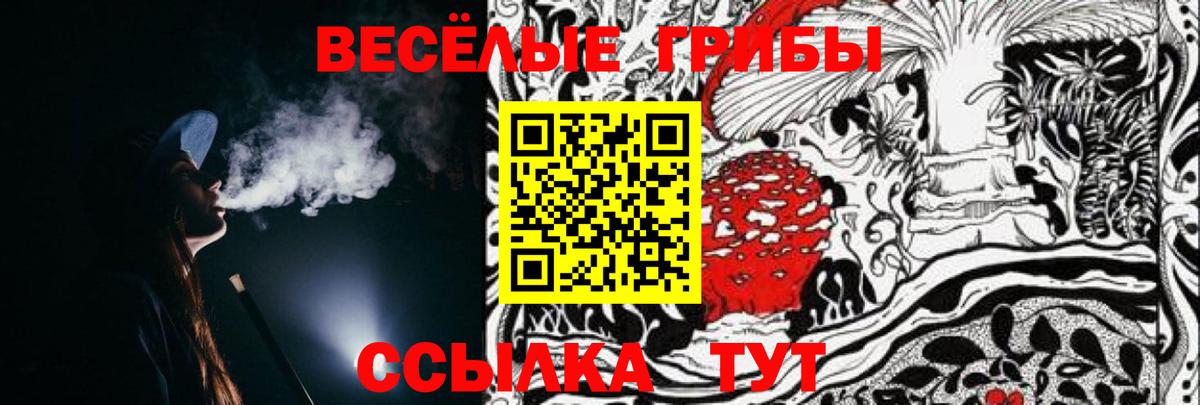 Кимры  Псилоцибиновые грибы Psilocybine cubensis  Вход с VPN  Псилоцибиновые грибы GOLDEN TEACHER 