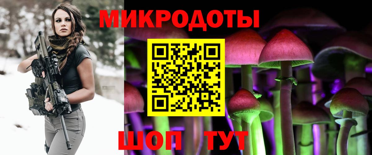 Псилоцибиновые грибы Cubensis Кимры